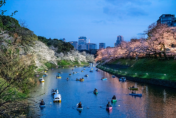 Chidorigafuchi Float