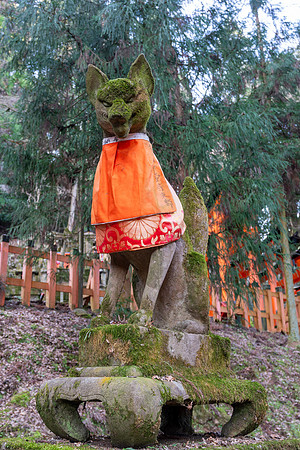 Fushimi Inari Shrine, Kyoto