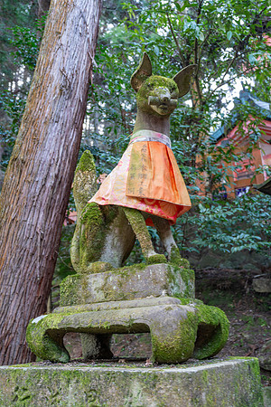 Fushimi Inari Shrine, Kyoto