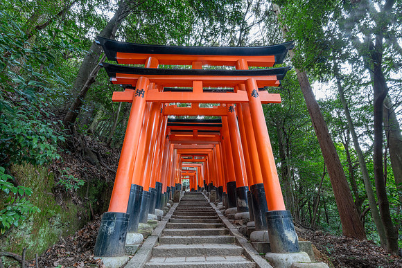 Fushimi Inari Shrine, Kyoto