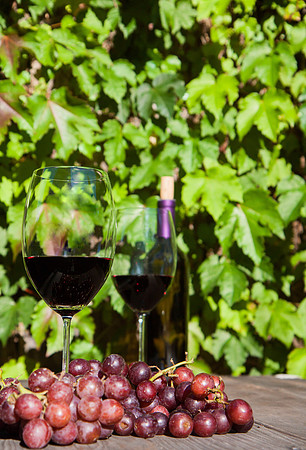 Napa Valley Wine Country