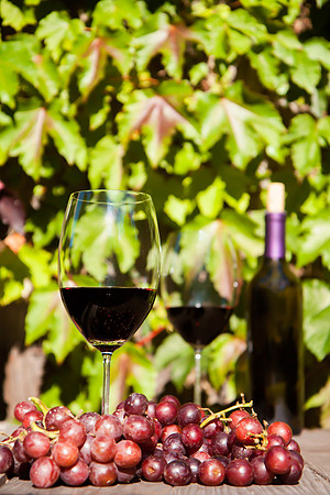 Napa Valley Wine Country