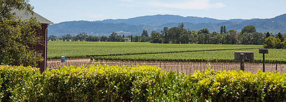 Napa Valley Wine Country
