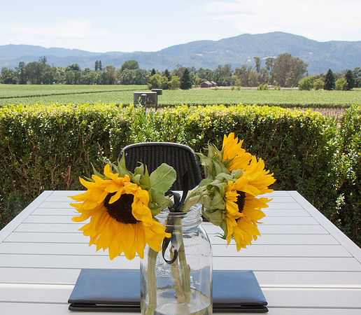 Napa Valley Wine Country