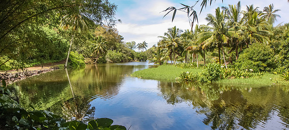 National Botanical Garden, Kauai.