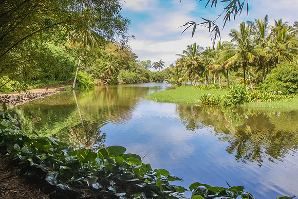 National Botanical Garden, Kauai