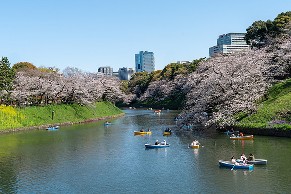 Chidorigafuchi Float