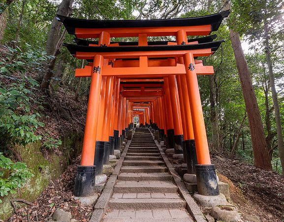 Fushimi Inari Shrine, Kyoto