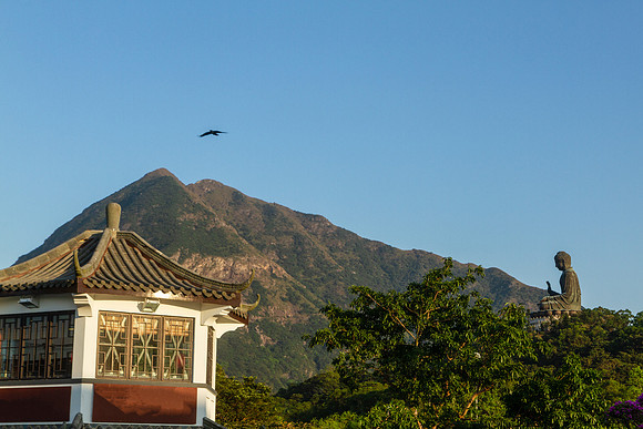 Tian Tan Buddha, Po Lin Monastery, Hong Kong