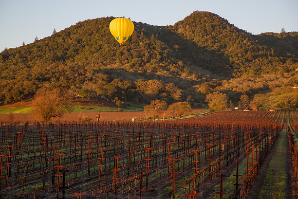 Hot Air Balloon over Napa Valley vineyards