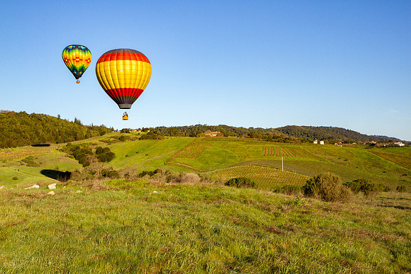 Hot Air Balloon over Napa Valley vineyards