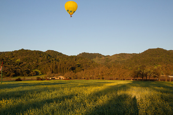 Hot Air Balloon over Napa Valley vineyards