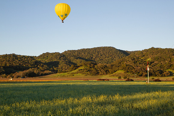 Hot Air Balloon over Napa Valley vineyards