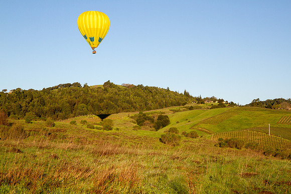 Hot Air Balloon over Napa Valley vineyards