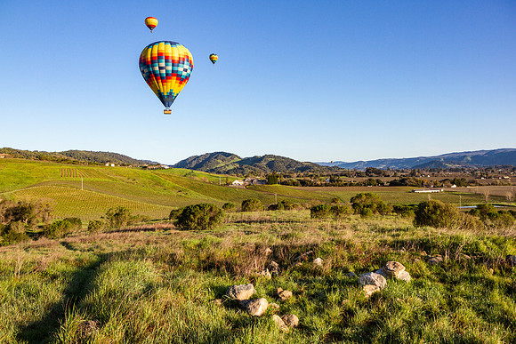 Hot Air Balloon over Napa Valley vineyards