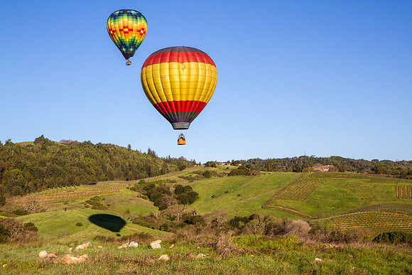 Hot Air Balloon over Napa Valley vineyards