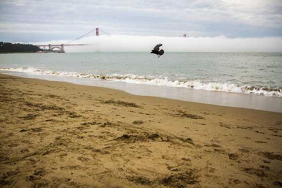 West Bluff, San Francisco