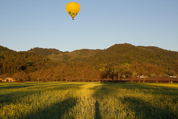 Hot Air balloon over Napa Valley