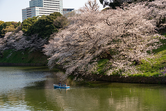 Chidorigafuchi Float