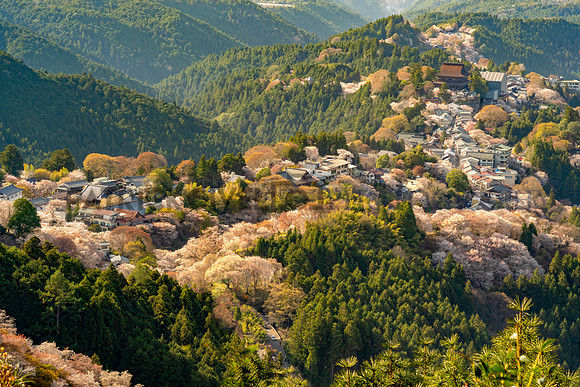 Mt. Yoshino
