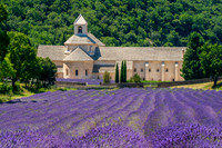 Abbaye Notre-Dame de Sénanque