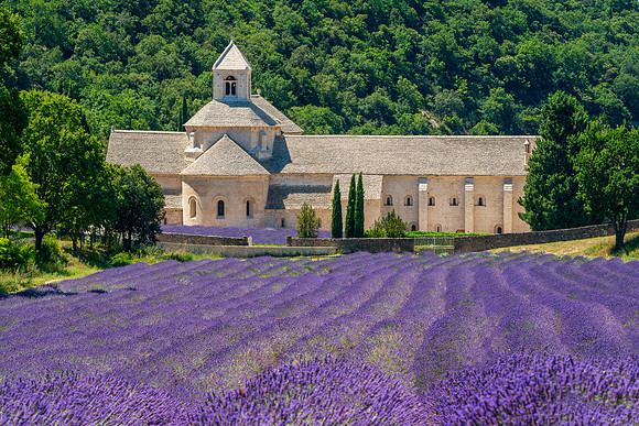 Abbaye Notre-Dame de Sénanque