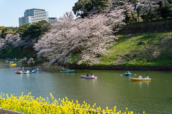 Chidorigafuchi Float