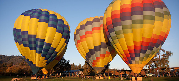 Napa Valley Hot Air Balloons.