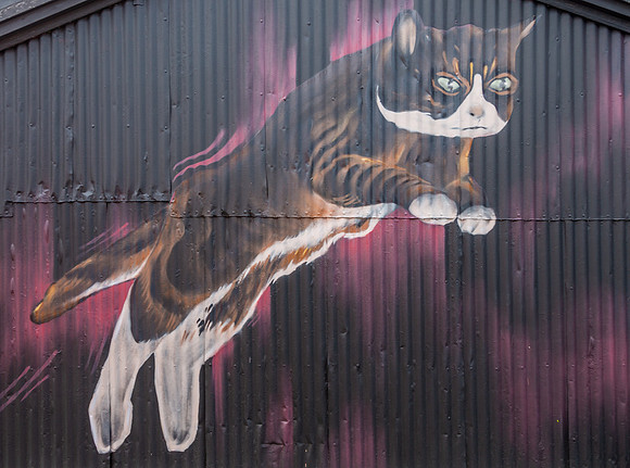 Reykjavik Street Art