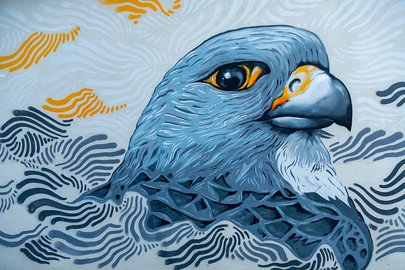 Reykjavik Street Art