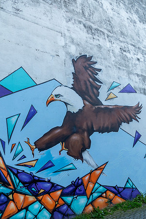 Reykjavik Street Art