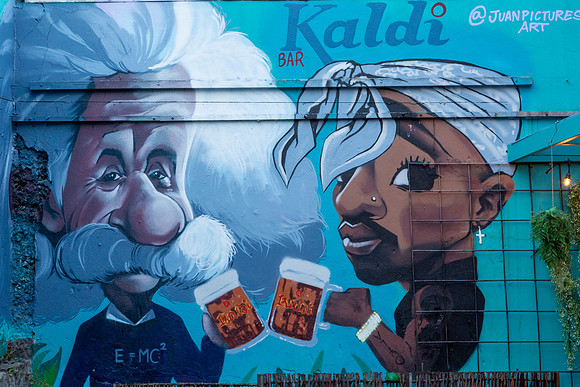 Reykjavik Street Art