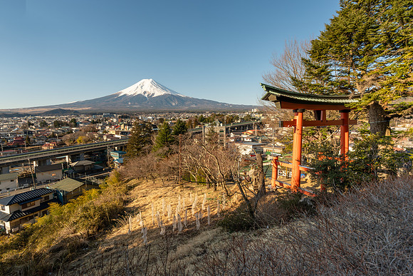 Mt. Fuji and Torii Gate