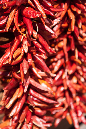 Hanging Chili Peppers