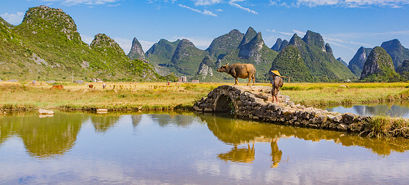Farmer and Water Buffalo, Guilin, China