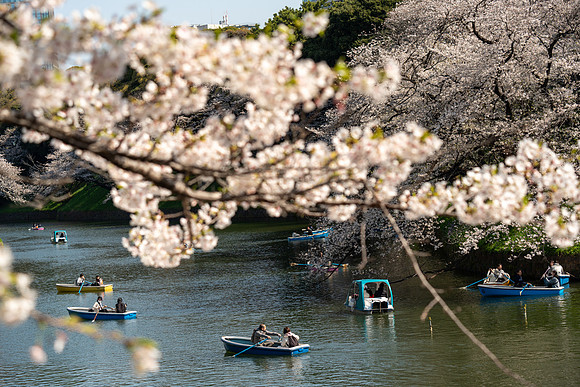 Chidorigafuchi Float