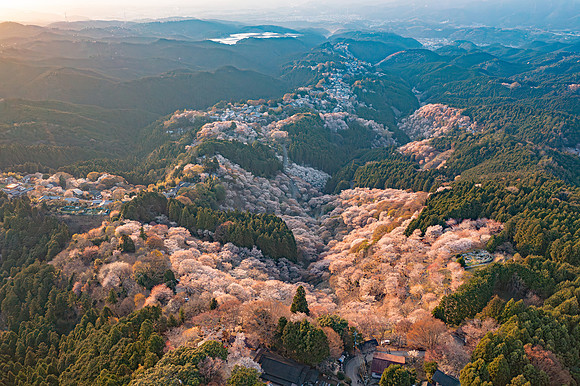 Mt. Yoshino