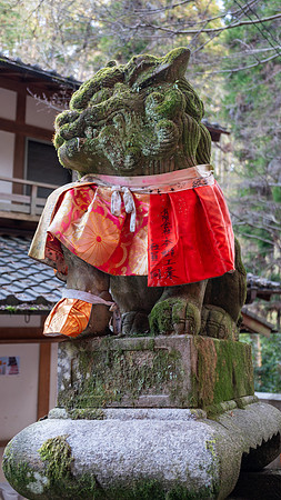 Fushimi Inari Shrine, Kyoto