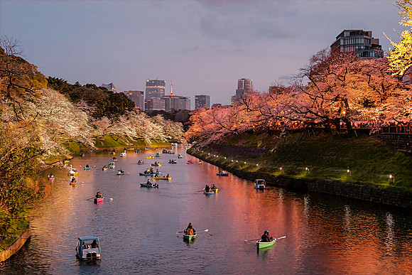 Chidorigafuchi Float