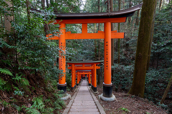 Fushimi Inari Shrine, Kyoto