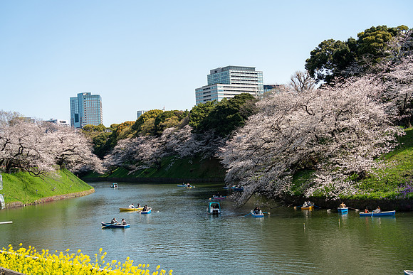 Chidorigafuchi Float