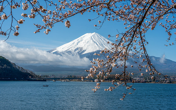Mt. Fuji and Sakura