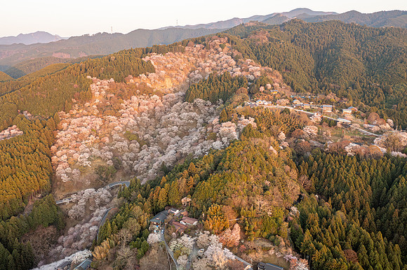 Mt. Yoshino