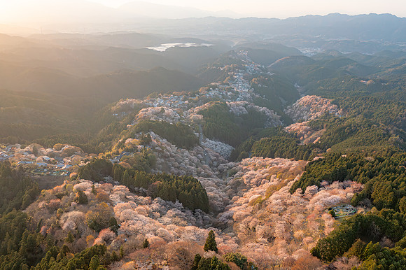 Mt. Yoshino