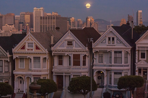 Full Moon behind Painted Ladies