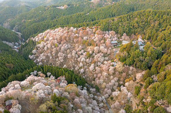 Mt. Yoshino